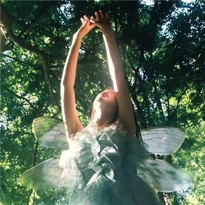 志愿军：浴血和平