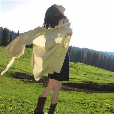 不能触犯的条规